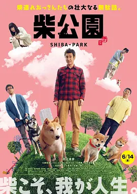邻居来客人